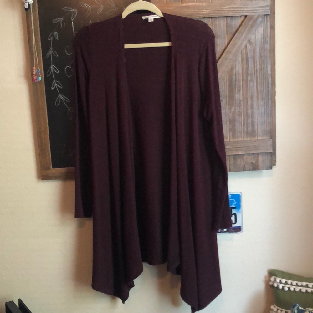 American Eagle maroon cardigan!